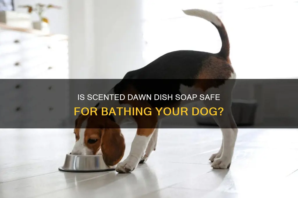 can i use scented dawn on my dog