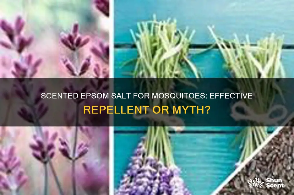 can i use scented epdom salt for mosquitoes