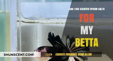 Scented Epsom Salts for Betta Fish: Safe or Risky?