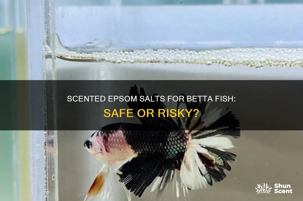 can i use scented epsom salts for my betta