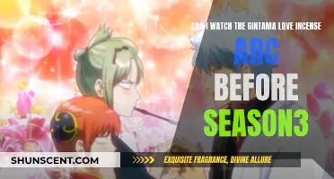 Gintama: Can You Watch Arc Before Season 3?