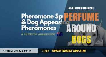 Using Pheromones Around Dogs: Safe or Not?