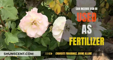 Incense Ash: A Natural Fertilizer for Your Plants?