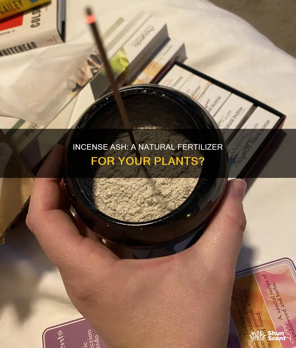 can incense ash be used as fertilizer