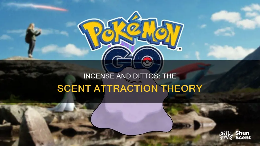 can incense attract ditto