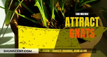 Incense and Gnats: What's the Connection?