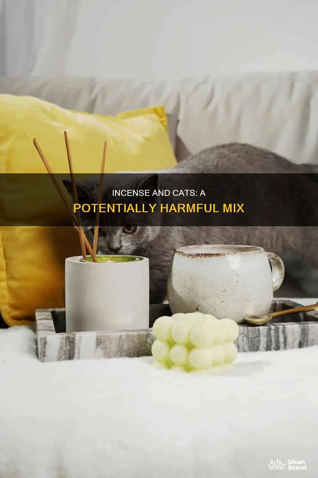 can incense be harmful to cats