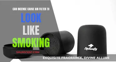 Incense and Air Filters: A Smoky Conundrum?