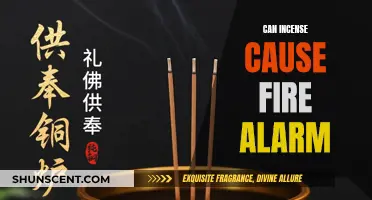 Incense and Fire Alarms: Can They Coexist?