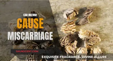 Incense and Miscarriage: Exploring the Potential Risk