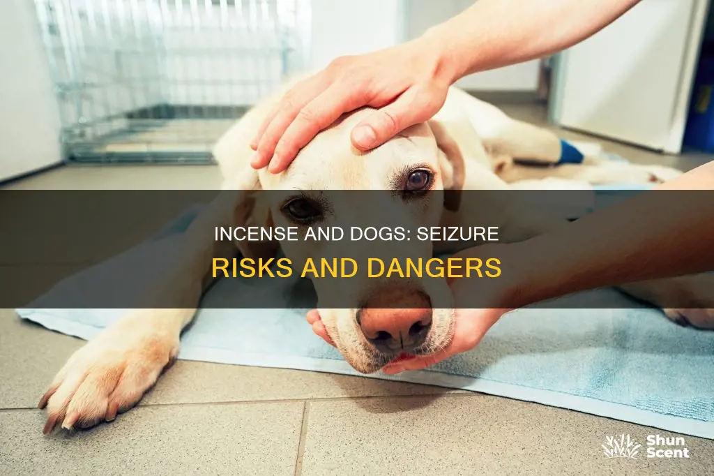 can incense cause seizures in dogs