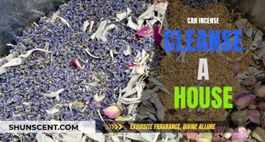 Incense for House Cleansing: Does it Work?
