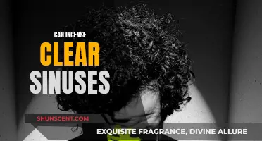 Incense and Sinuses: Can Fragrance Clear Congestion?
