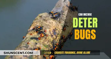 Incense and Insects: A Fragrant Solution?