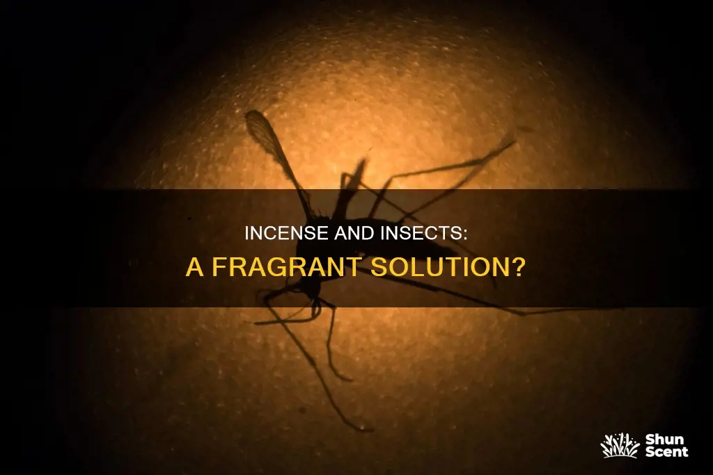 can incense deter bugs