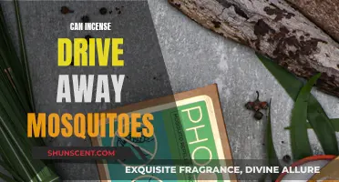 Incense as Mosquito Repellent: Does it Work?