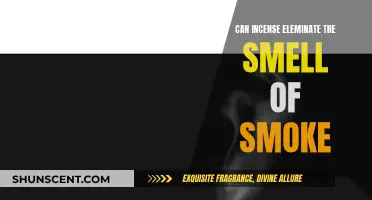 Incense and Smoke: Can Fragrance Cover Cigarette Odor?