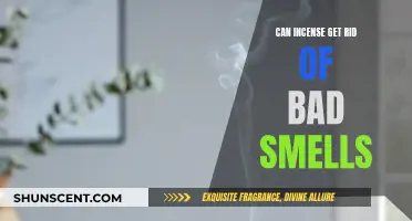 Incense and Odor: A Fragrant Solution for Bad Smells