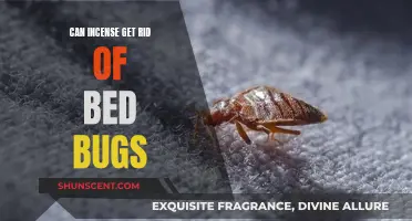 Incense as Bed Bug Repellent: Does It Work?