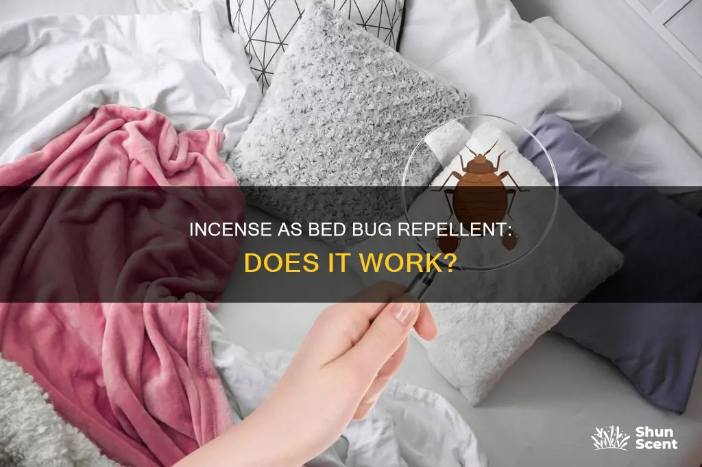 can incense get rid of bed bugs