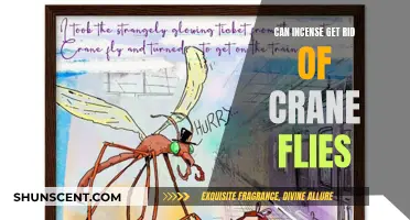 Incense and Crane Flies: A Natural Repellent?