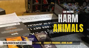 Incense and Pets: Harmful or Safe?