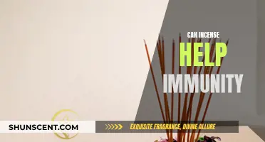 Incense and Immunity: Exploring Ancient Healing Techniques