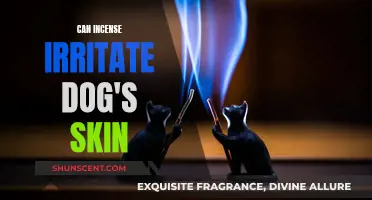 Incense and Dogs: Skin Irritation Risks and Prevention