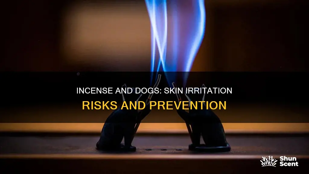 can incense irritate dog