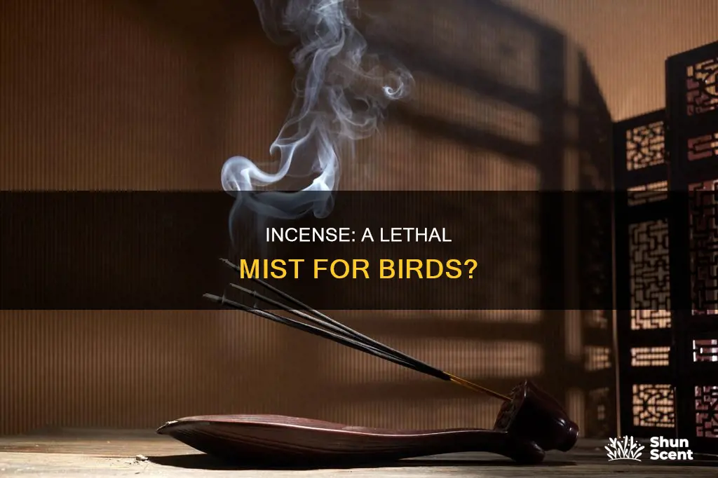 can incense kill birds