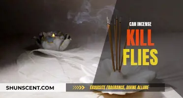 Incense as Insecticide: Killing Flies with Fragrance