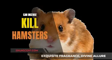 Incense: A Lethal Mist for Hamsters?