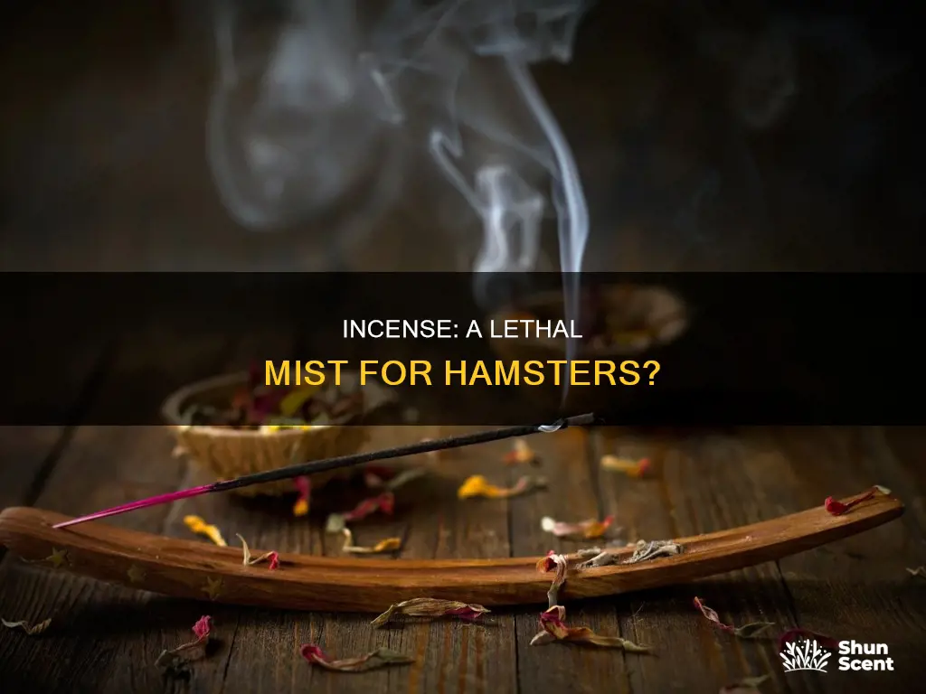 can incense kill hamsters