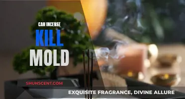 Incense and Mold: Can Incense Kill It?