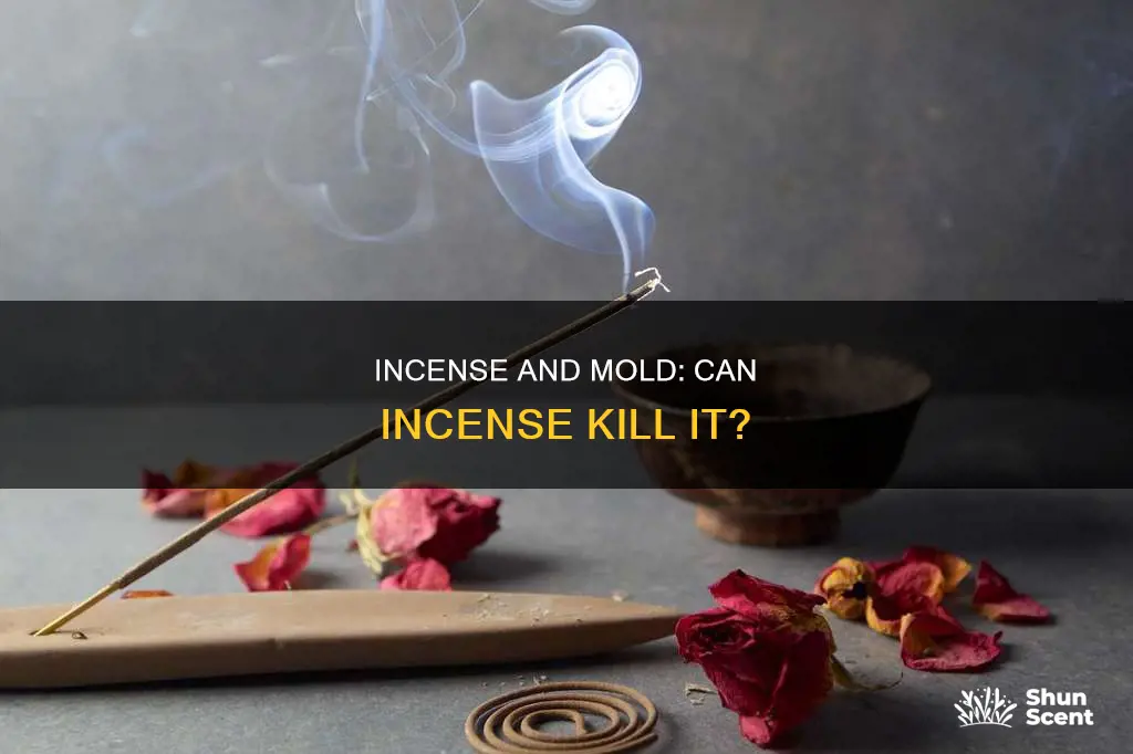 can incense kill mold