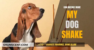 Incense and Dogs: Can Scented Smoke Cause Shaking?