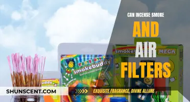Air Filtration: Incense Smoke and Odor Elimination