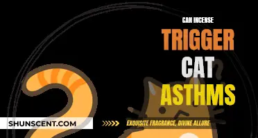 Incense, Cats, and Asthma: A Potentially Harmful Mix