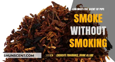Experience Pipe Smoke Aroma Without Smoking: Tips and Tricks