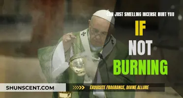 Incense Aromas: Harmful or Harmless?