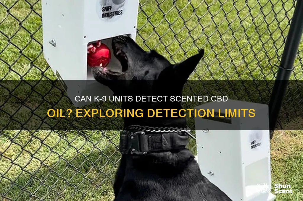 can k-9 dogs detect scented sative oil