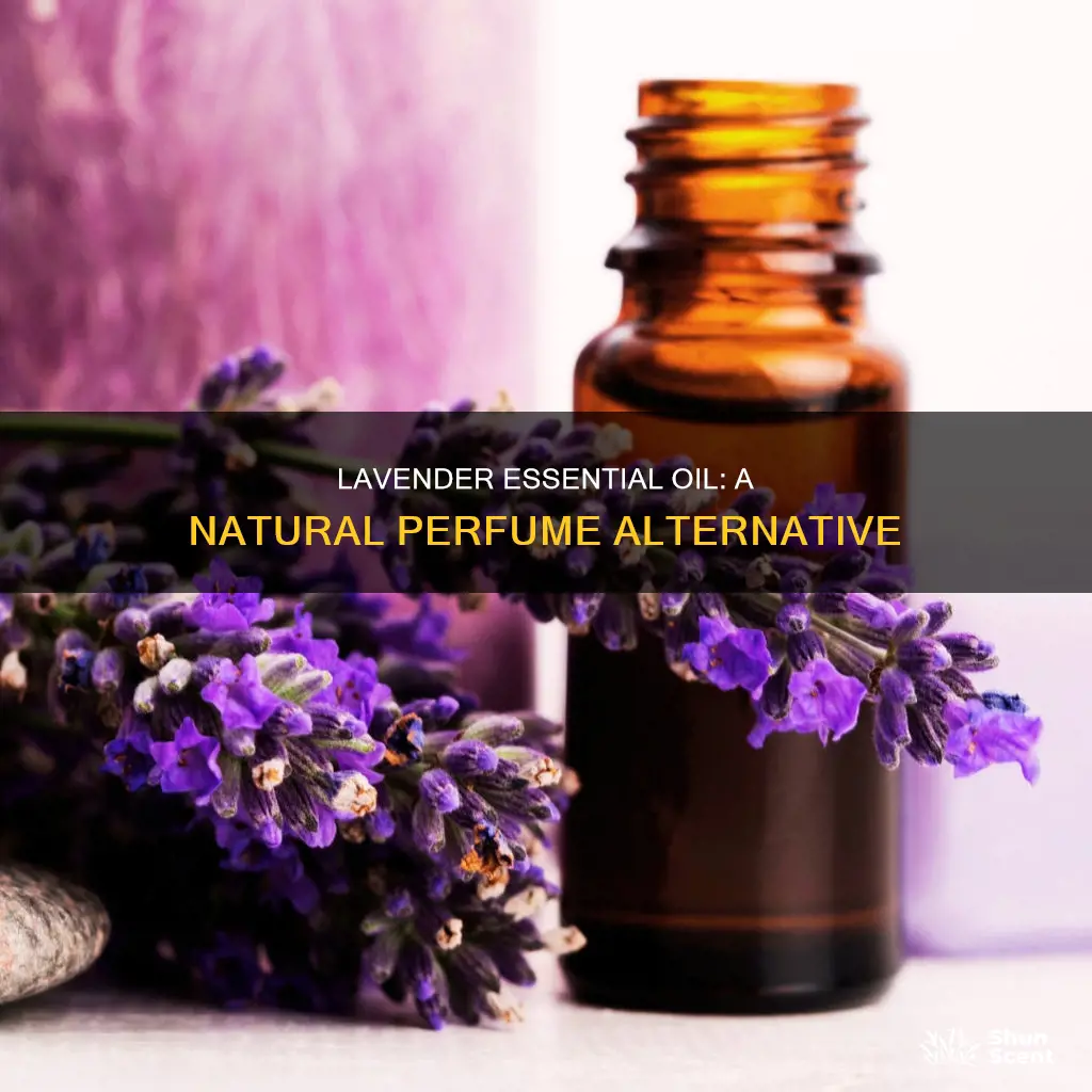can lavendar essential oil be used as perfume