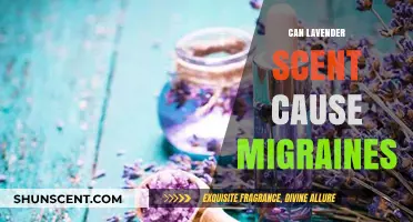 Lavender Scent and Migraines: Unraveling the Aromatic Connection