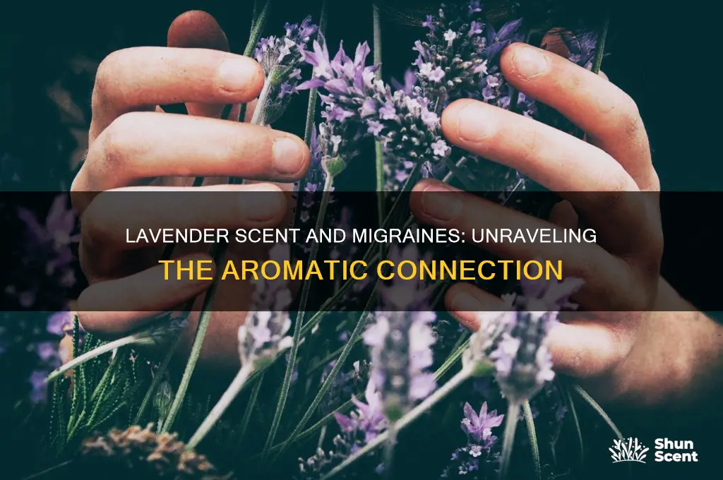 can lavender scent cause migraines