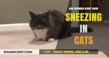 Lavender Scent and Cats: Uncovering the Sneezing Connection