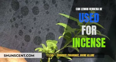 Lemon Verbena: Incense Aromatics and Their Benefits