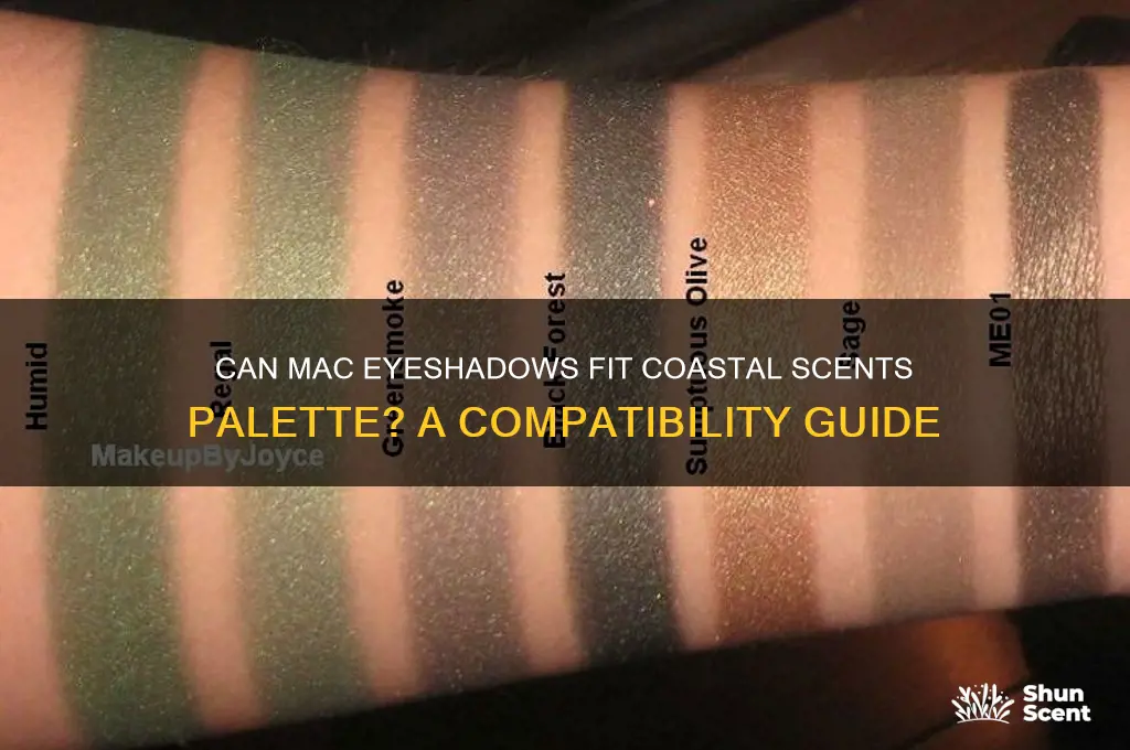 can mac eyeshadows fit coastal scents palette