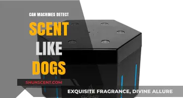 Can Machines Match Dogs in Detecting Scents? Exploring AI Olfactory Tech