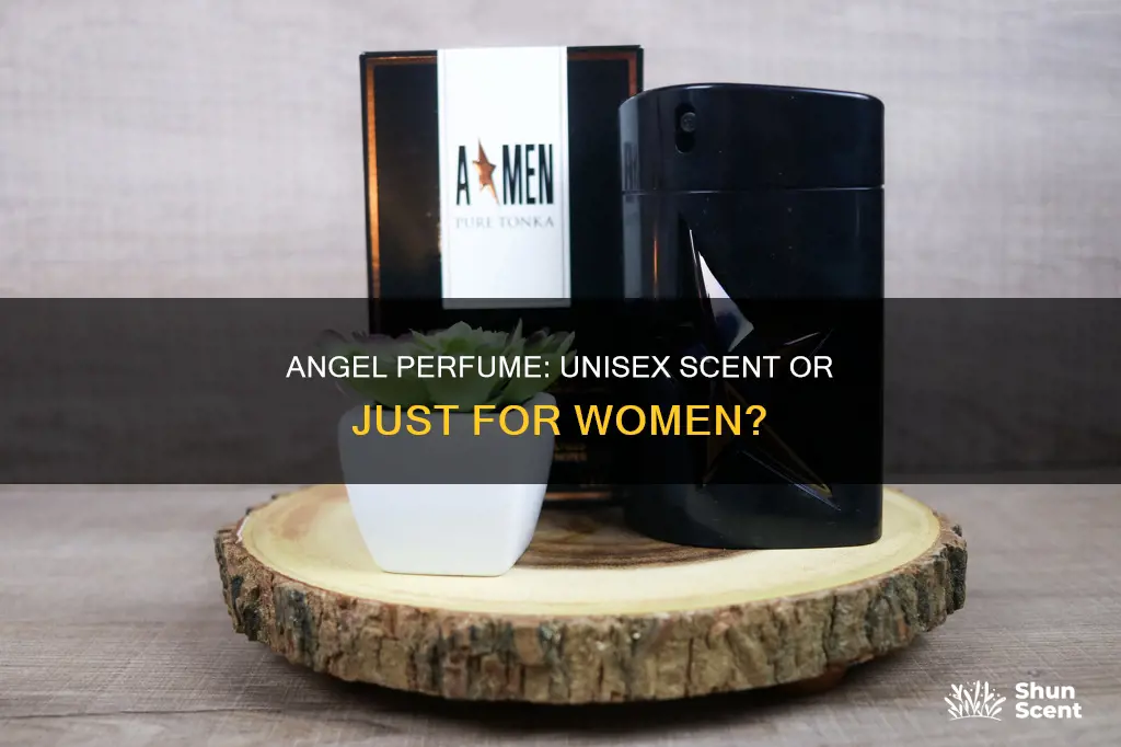 can men were the angel perfume