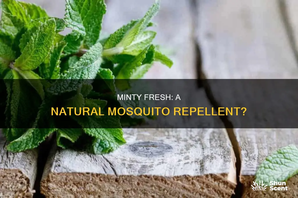 can mint cologne help repel mosquitoes